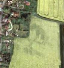 Crop marks in 2005