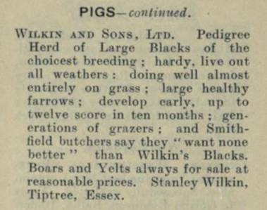 Pig Ad
