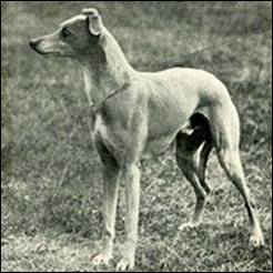 image009