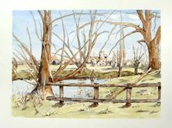 Scrotchy Pond, Nonee Newman