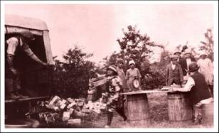 Stawberry picking - the final weigh up -1929